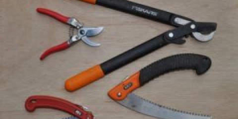 Pro dobrou úrodu stříhejte švestky na podzim